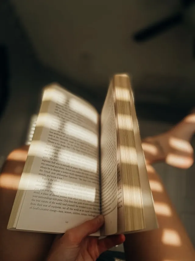 queer YA fiction and empathy